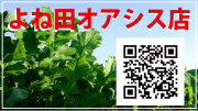 オアシス店
