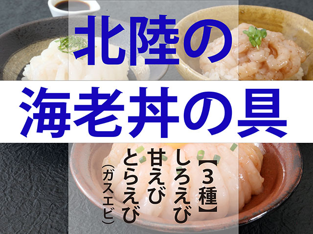 北陸の海老丼の具