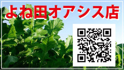 よね田オアシス店